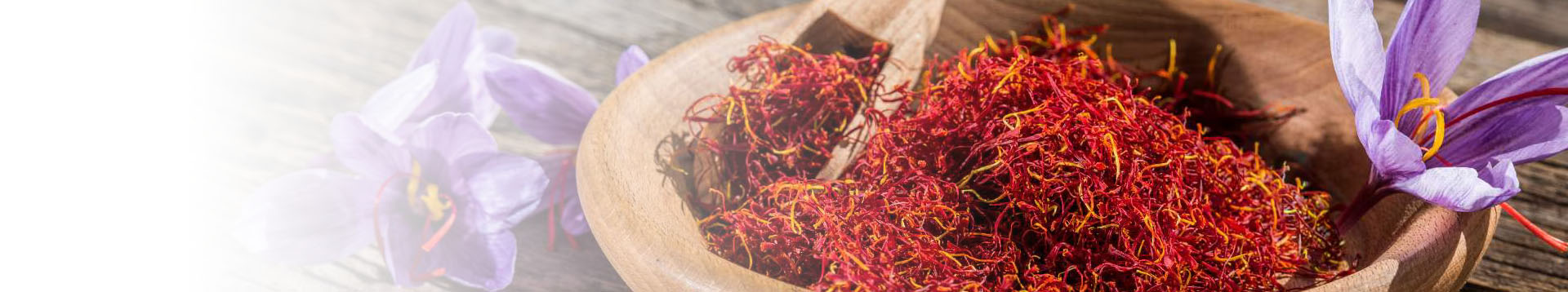Banner Saffron Spain